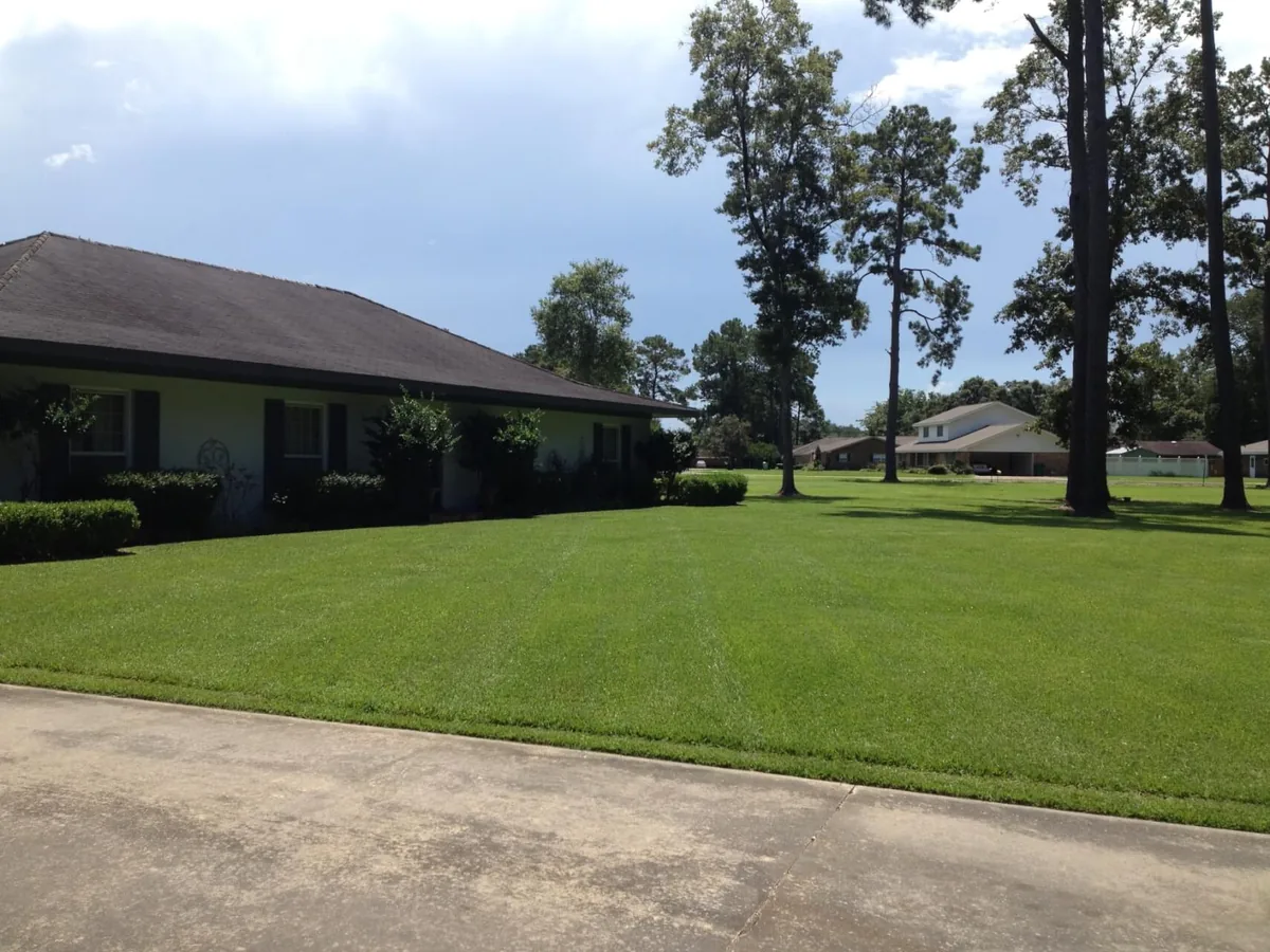 A freshly mowed front lawn at a ranch home, lawn care