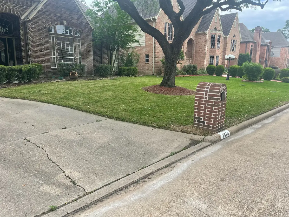 Lawn care result, a freshly mowed and edged St. Augustine front lawn