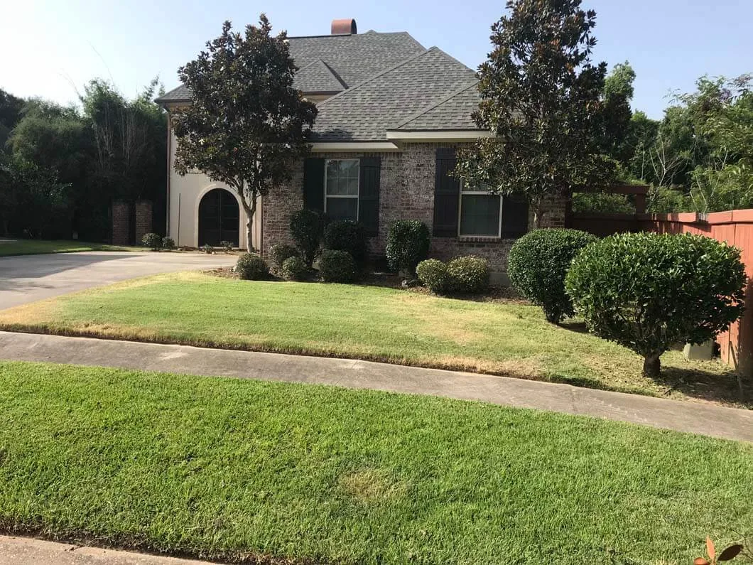 A neatly cut front lawn kept on a lawn maintenance schedule