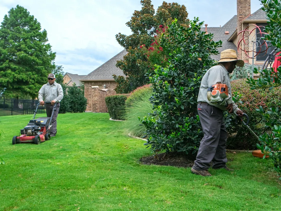 Lawn mowing with a push mower while a second worker trims along a shrub bed