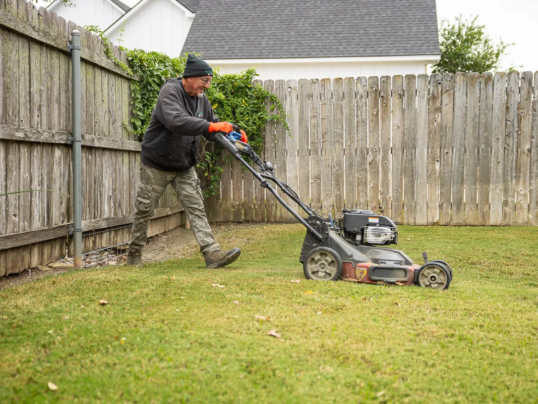 Lawn mowing with a push mower along a wooden fence in a backyard