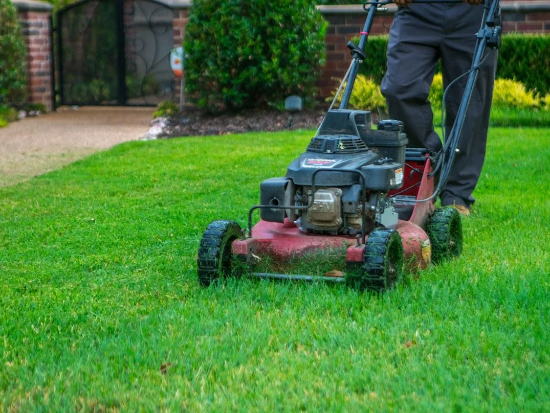 A push mower cutting a green lawn, lawn mowing