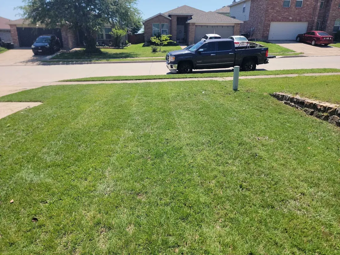 A freshly striped front lawn after lawn mowing