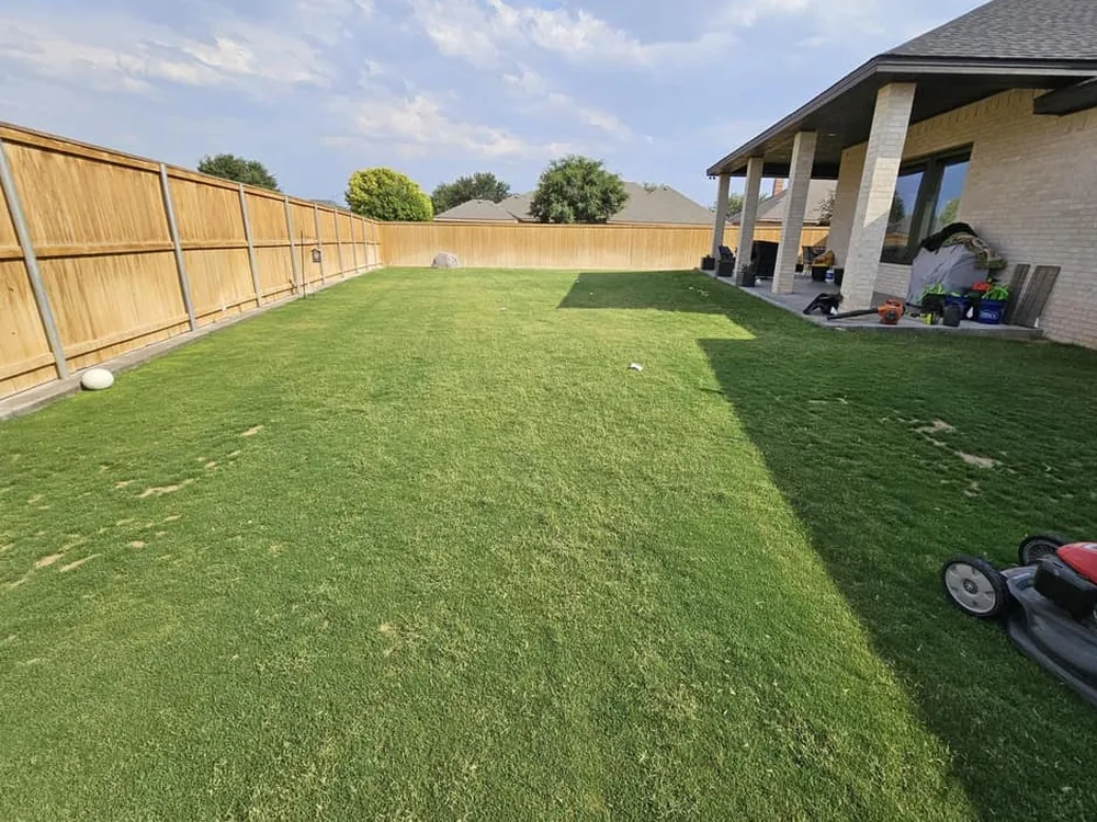 A level backyard lawn after the low spots were filled, lawn repair