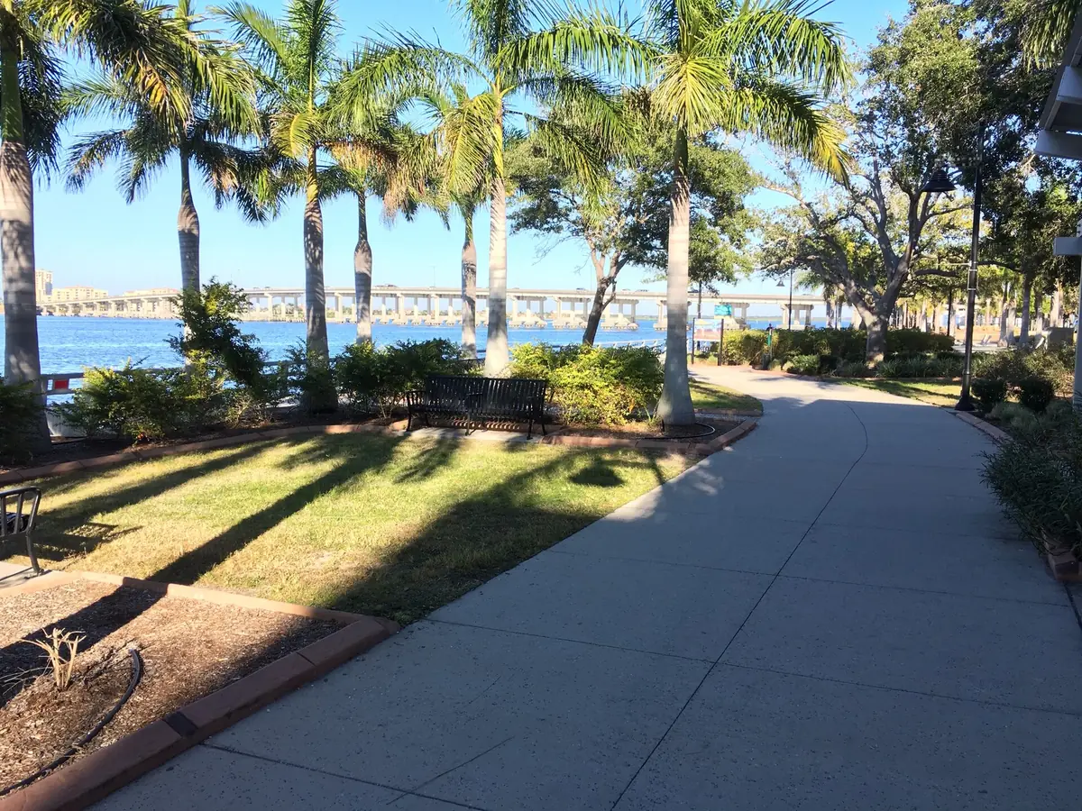 A smooth, level lawn beside a walkway lined with palms, the finish lawn repair aims for
