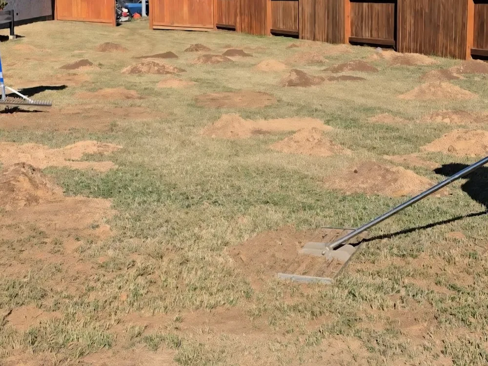 Sand piles raked into the low spots of a lawn, lawn repair