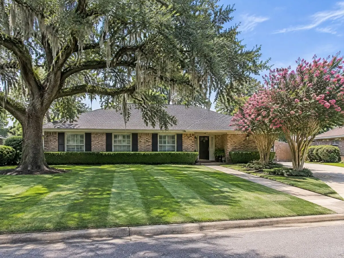 A finished, level green front lawn under a live oak, the result lawn topdressing works toward
