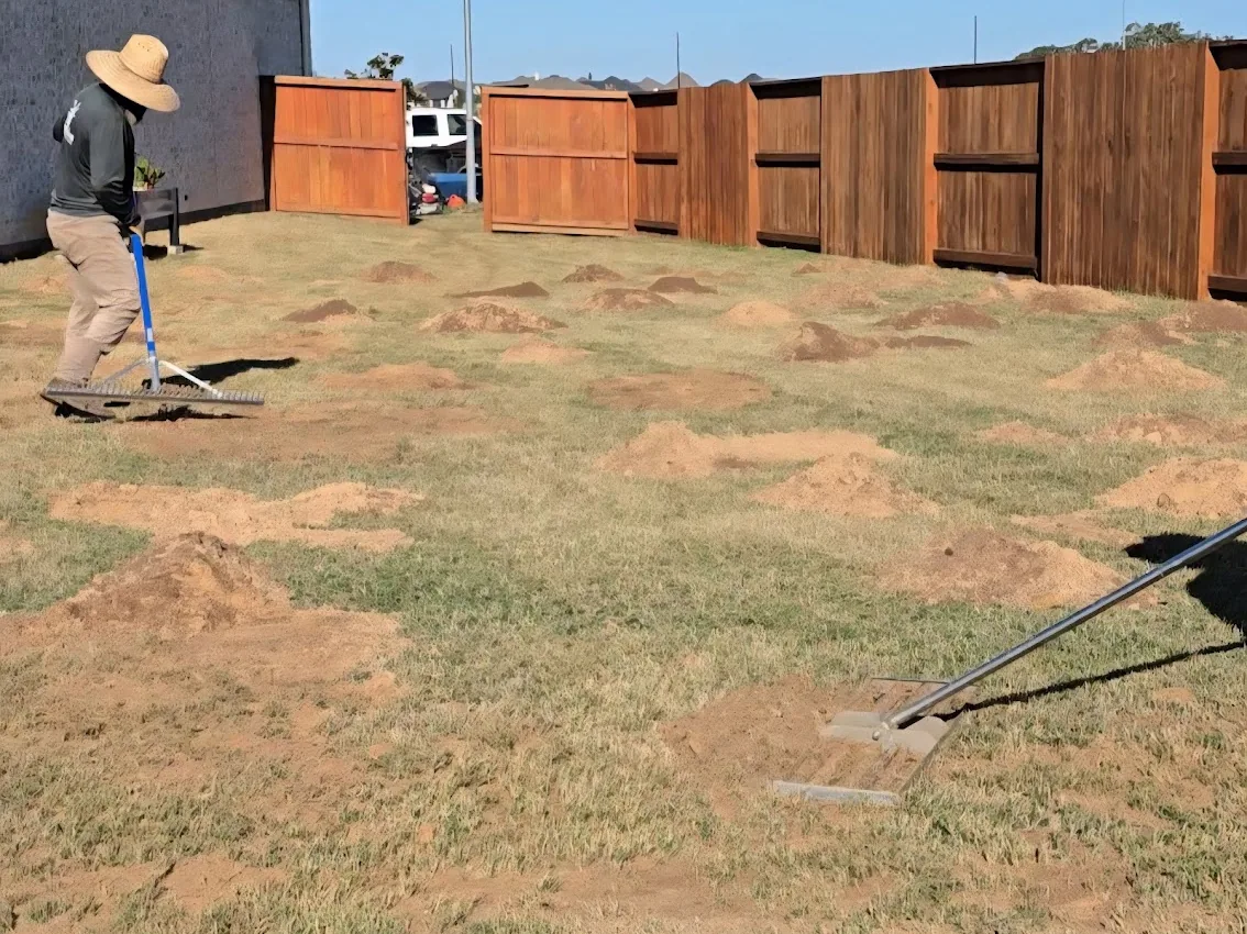 Sand raked into the low spots of a lawn during lawn topdressing